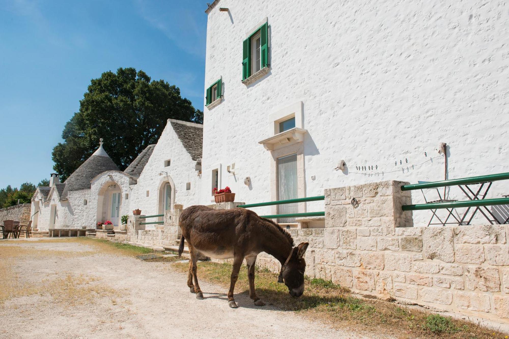 Agriturismo Masseria Aprile Локоротондо Экстерьер фото